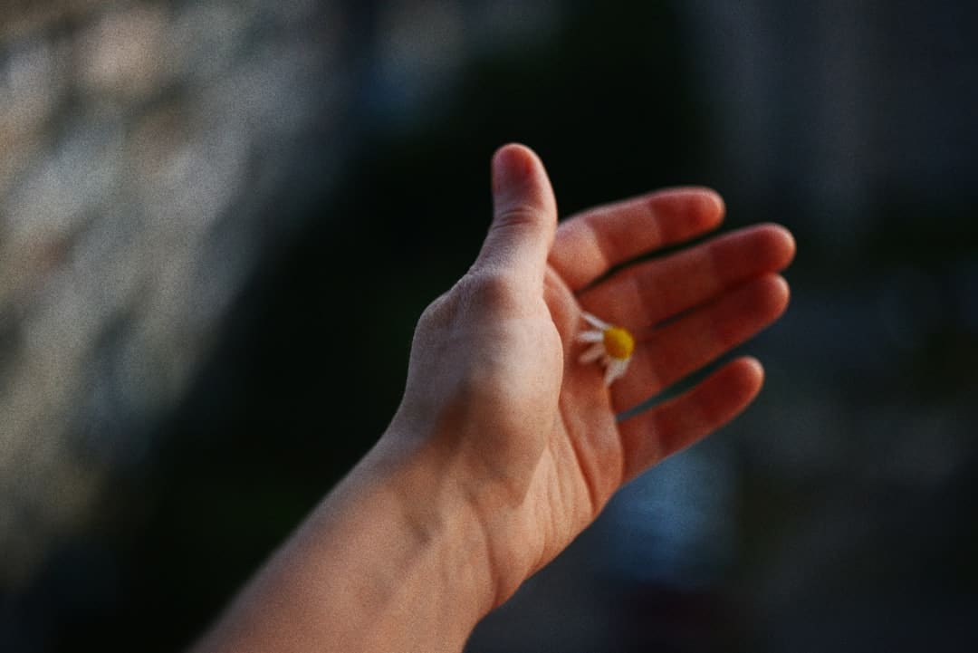 科幻阅读产业保持增长态势，我国科幻创作正迎来黄金期
